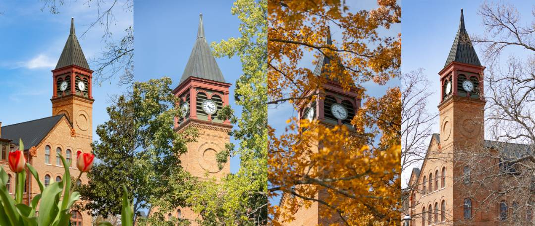 Clocktower Through the Seasons