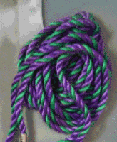 Kappa Delta Pi purple and jade green cord