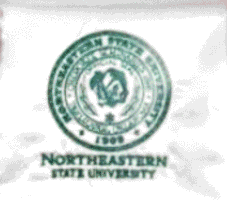 NSU Stole A white stole with green NSU seal and lettering