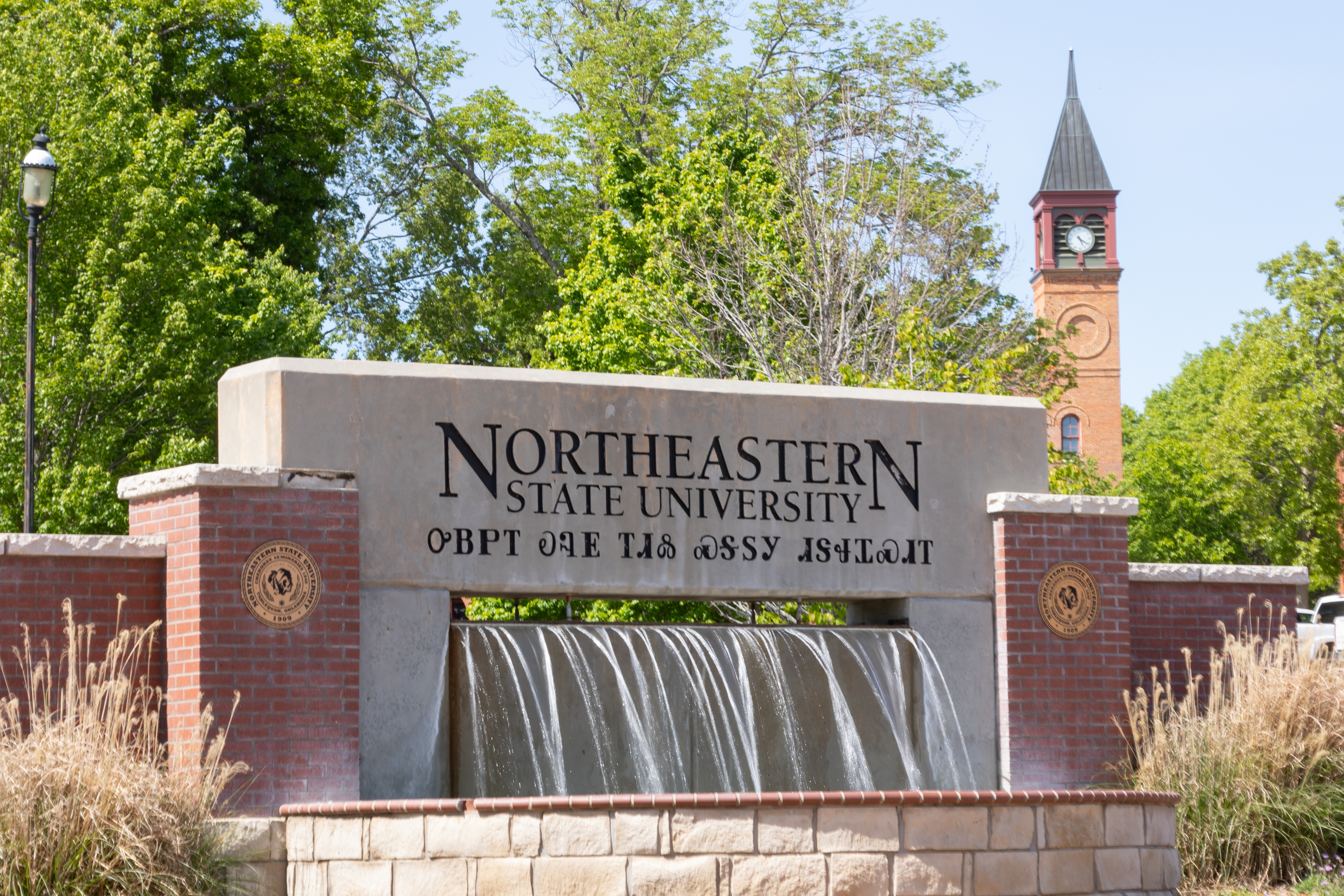 NSU Campus Photo