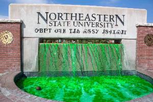 A photo of the NSU entrance fountain, with dyed green water