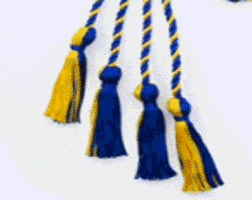 Phi Alpha blue and gold cord 