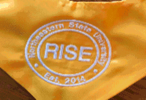 Rise Scholars A gold stole with a white Rise seal