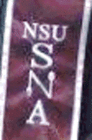 Student Nutrition Association A burgundy stole with silver border and lettering