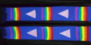 Stonewall Equality Alliance Lavender stole with rainbow stripes and pink triangles